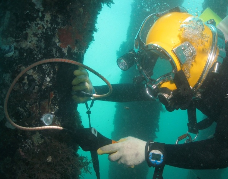 Commercial & Specialised Diving carrying out a UT Inspection