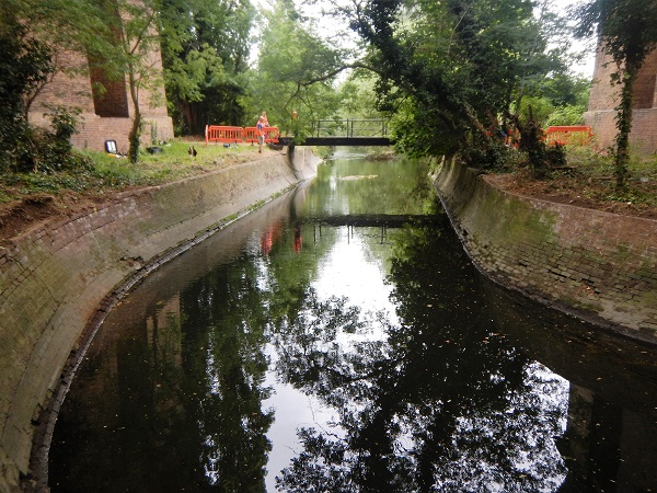 Canal trees 600