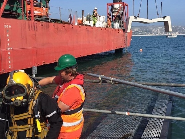 Diver and barge a